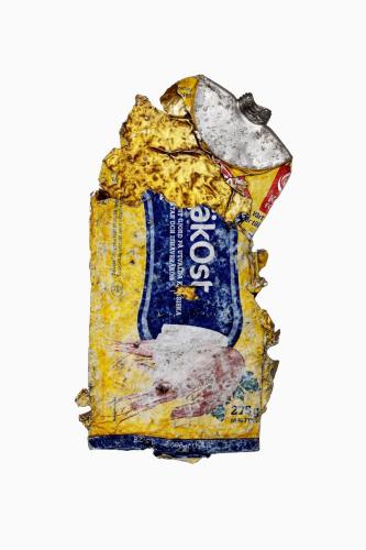 Debris_0003_20230523