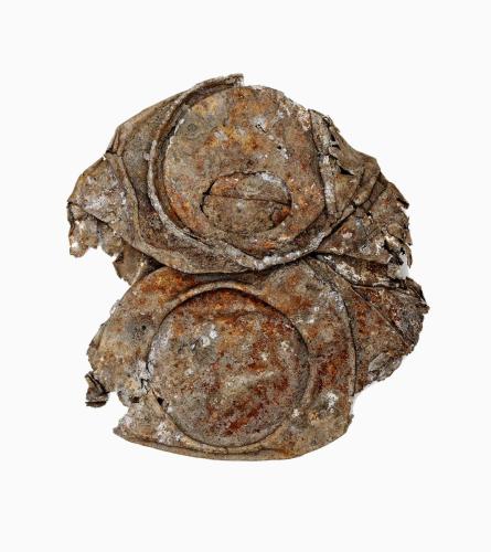 Debris_0015_20230523