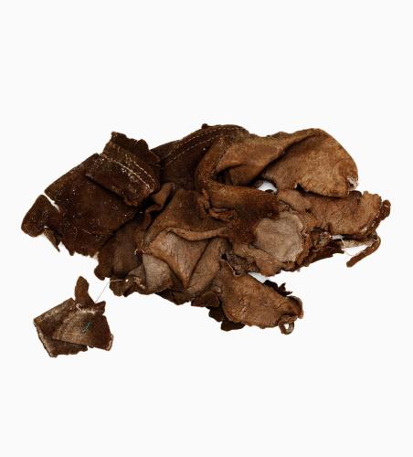 Debris_0025_20221109