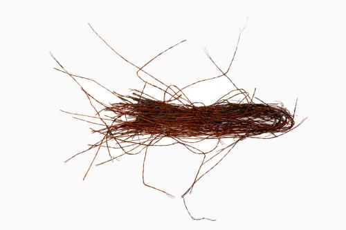 Debris_0029_20221109