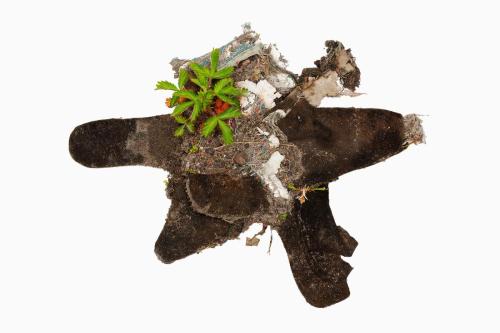 Debris_0032_20221109